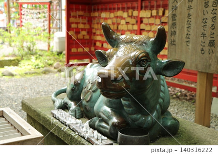 神社境内に鎮座する神牛 140316222