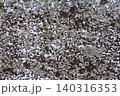 Corse Texture Wall Background Grey Moss 140316353