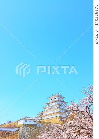 兵庫県姫路市、満開の桜と姫路城の風景 兵庫県姫路市、満開の桜と姫路城の風景 140316371