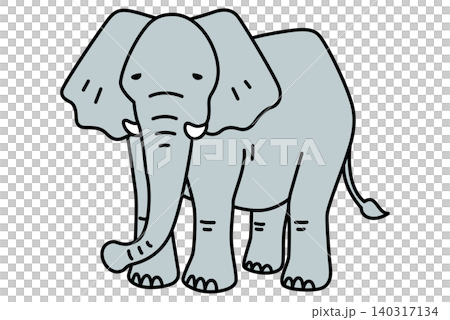 ゾウ ゾウ 140317134