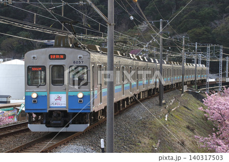 ［IZ］伊豆急行線8000系電車（熱海-伊東⇔伊豆急下田） 140317503