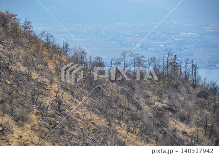 山火事のあと〜岡山市南区 山火事のあと〜岡山市南区 140317942
