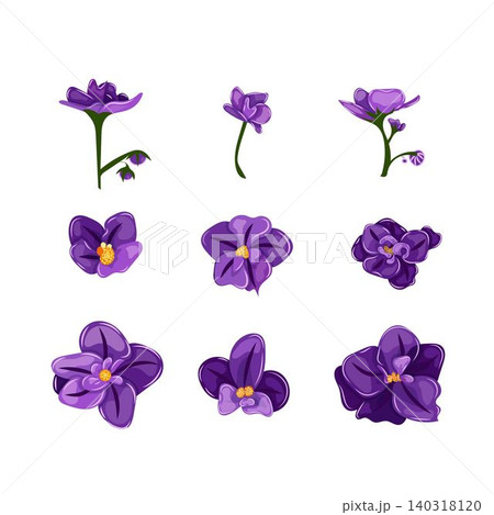 Elegant set purple African violet flowers with intricate petals and golden centers, isolated on a white background. Ideal for greeting cards, invitations, and floral designs. Elegant set purple African violet flowers with intricate petals and golden centers, isolated on a white background. Ideal for greeting cards, invitations, and floral designs. 140318120