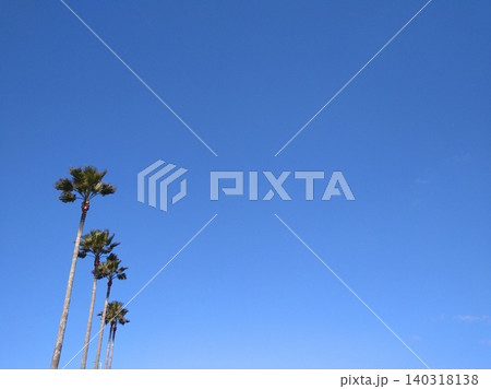 爽快な夏の青空とヤシの木 爽快な夏の青空とヤシの木 140318138