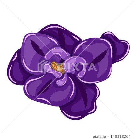 A single purple violet flower with intricate petal details and a bright yellow center; isolated on a white background. 140318264