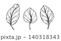 Hand drawn leaves vector illustration in engraving style. Set of black and white botanical elements. Floral minimalist style drawing for nature design, eco pattern and decoration. 140318343
