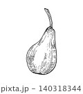 Hand drawn monochrome whole pear with stem linear drawing. Fresh fruit black and white ink illustration. Food object botanical sketch for package design, culinary blog, or menu decoration. 140318344