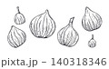 Set of vector monochrome figs graphic sketch. Fresh fruit botanical ink clip art. Plant elements etching drawing for menu design, culinary blog, cookbook and organic food packaging. 140318346