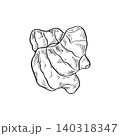 Ginger root illustration line drawing. Fresh raw organic food ingredient realistic graphic sketch. Healthy vegan cooking and seasoning concept. Traditional herbal medicine and spice isolated element. 140318347