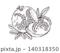 Pomegranate fruit with juicy seeds and leaves vector isolated illustration. Monochrome fruit slices hand drawn sketch painted by black inks. Fresh food drawing for culinary blog, healthy eating poster 140318350