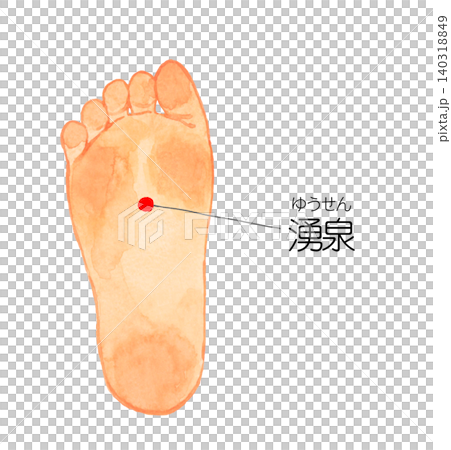 湧泉のツボの図解(足の裏) 手描き水彩イラスト素材 湧泉のツボの図解(足の裏) 手描き水彩イラスト素材 140318849