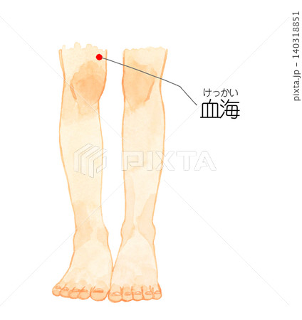 血海のツボの図解(若い女性の脚) 手描き水彩イラスト素材 血海のツボの図解(若い女性の脚) 手描き水彩イラスト素材 140318851