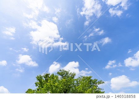 初夏の青空と雲と樹木 初夏の青空と雲と樹木 140318858