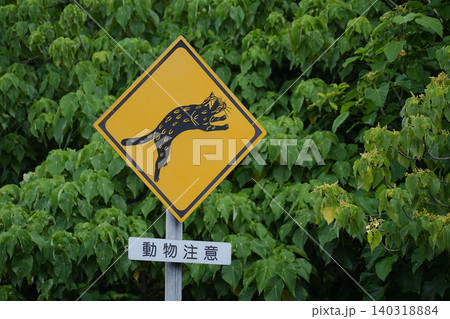 沖縄県_西表島_イリオモテヤマネコ注意喚起 140318884