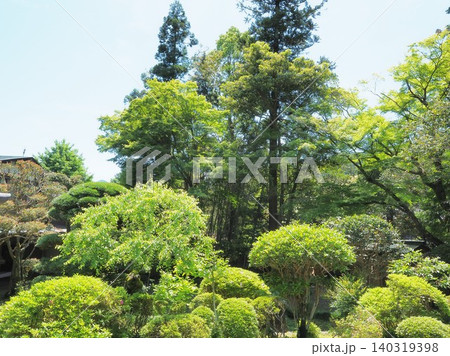 静岡県 吐月峰柴屋寺 新緑の史跡庭園 5月 静岡県 吐月峰柴屋寺 新緑の史跡庭園 5月 140319398