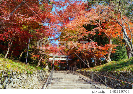 京都 大原野神社の秋 京都 大原野神社の秋 140319702