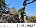 観音山（兵庫県西宮市） 140319927