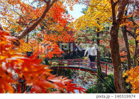 大原野神社神苑 鯉沢の池 大原野神社神苑 鯉沢の池 140319974
