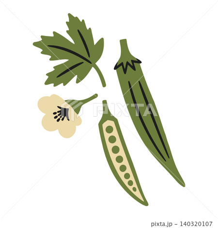 Okra vegetable flat illustration with flower and leaf for food and recipe design 140320107