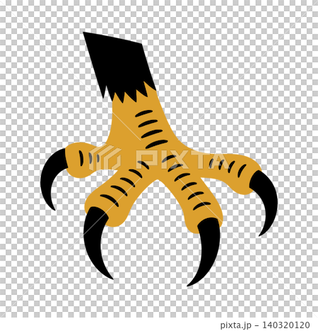 Bird claw vector illustration for wildlife design and educational materials Bird claw vector illustration for wildlife design and educational materials 140320120