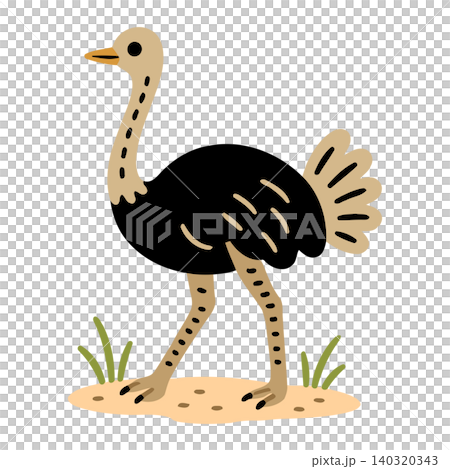 Ostrich cartoon illustration in flat vector style for wildlife and educational materials Ostrich cartoon illustration in flat vector style for wildlife and educational materials 140320343