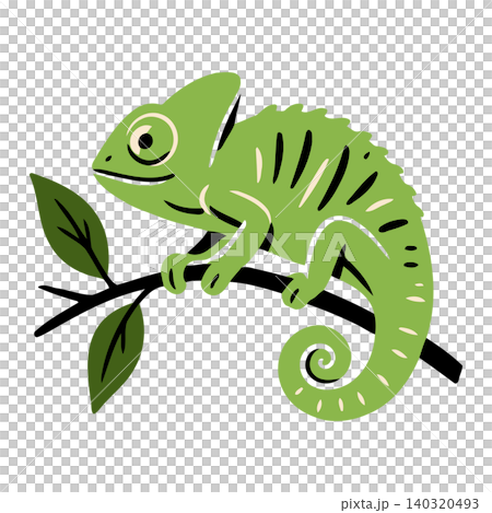 Green chameleon mascot in flat vector style for nature and wildlife illustration Green chameleon mascot in flat vector style for nature and wildlife illustration 140320493