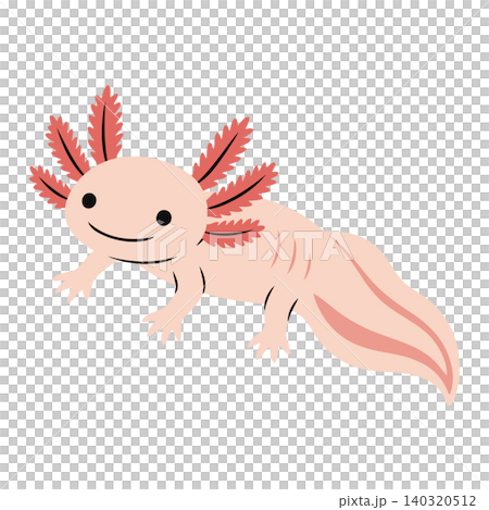 Smiling axolotl cartoon vector illustration for kids animal stickers Smiling axolotl cartoon vector illustration for kids animal stickers 140320512