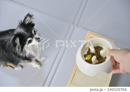 愛犬のごはん　チワワ　ドッグフード　サプリ　 140320768