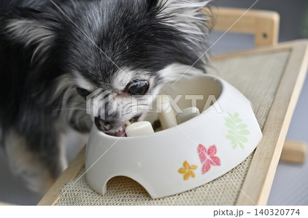 愛犬のごはん　チワワ　ドッグフード　サプリ　 140320774