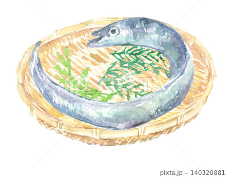 ざるに入った太刀魚の水彩イラスト 140320881