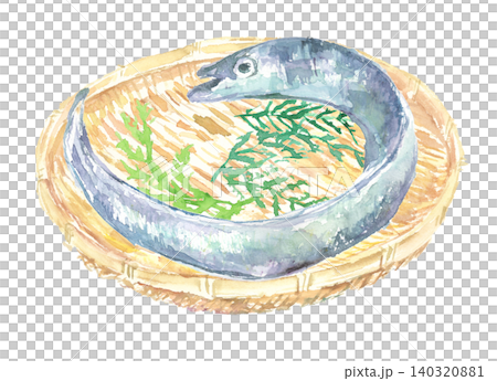 ざるに入った太刀魚の水彩イラスト 140320881