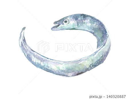 太刀魚の水彩イラスト 太刀魚の水彩イラスト 140320887