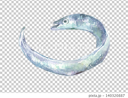附魚水彩插圖 140320887