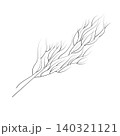 A sprig of dill in doodle style.  140321121
