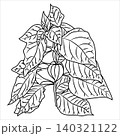Physalis plant with leaves and flowers in doodle style. 140321122