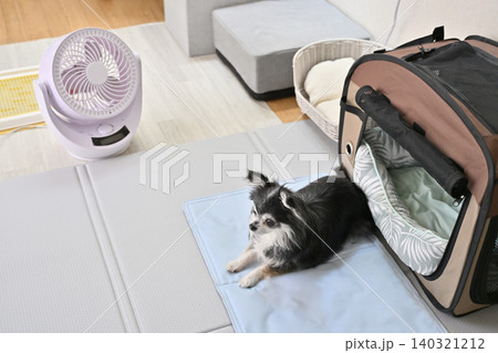 愛犬の夏の暑さ対策　サーキューレーター　クールマット　クールベッド 140321212
