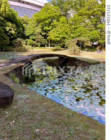 小石川後楽園・睡蓮池と石橋越しに望む東京ドーム(東京) 小石川後楽園・睡蓮池と石橋越しに望む東京ドーム(東京) 140321322