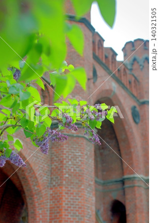 The Rossgarten Gate in Kaliningrad, the fortifications of Konigsberg with blooming lilacs 140321505