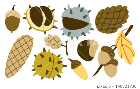 Autumn Forest Seeds Vector Set Flat Geometric Pine Cone Acorn Chestnut Collection Autumn Forest Seeds Vector Set Flat Geometric Pine Cone Acorn Chestnut Collection 140321730