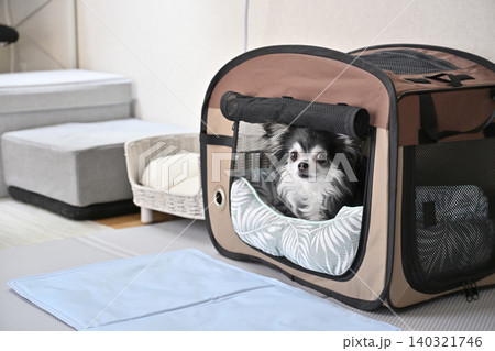 愛犬の夏の暑さ対策　冷感マット　冷感ベッド　チワワ 140321746