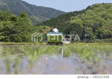田植え機に苗をセットして水田を進む農家 田植え機に苗をセットして水田を進む農家 140322109