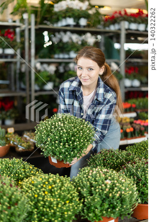 Girl works as auxiliary worker in plant store warehouse, review chrysanthemum grandiflora Girl works as auxiliary worker in plant store warehouse, review chrysanthemum grandiflora 140322262
