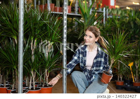 Girl works as auxiliary worker in plant store warehouse, review dracaena Girl works as auxiliary worker in plant store warehouse, review dracaena 140322427