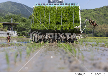 田植え機背面の植え付け爪と植えられた稲苗の列 田植え機背面の植え付け爪と植えられた稲苗の列 140322593