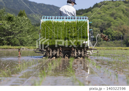 緑豊かな苗箱を積んだ田植え機の背面と水田 緑豊かな苗箱を積んだ田植え機の背面と水田 140322596