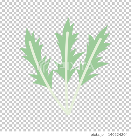 Mizuna (Japanese mustard greens) color illustration, simple leafy vegetable material. Mizuna (Japanese mustard greens) color illustration, simple leafy vegetable material. 140324204