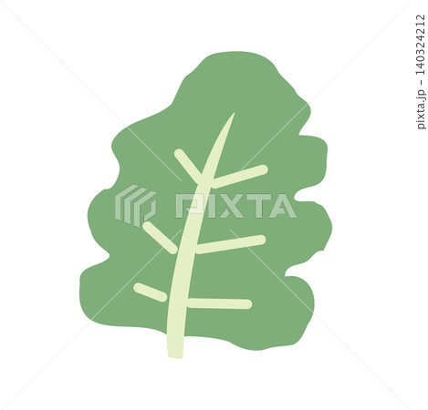 ケールのカラーイラスト シンプルな緑の葉野菜素材 ケールのカラーイラスト シンプルな緑の葉野菜素材 140324212
