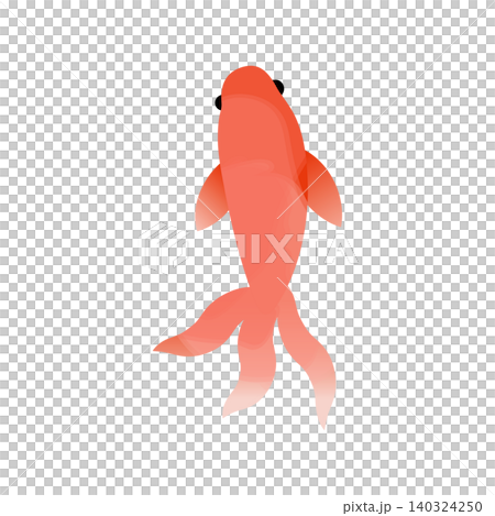 簡單的水彩風格紅色金魚插圖 01 簡單的水彩風格紅色金魚插圖 01 140324250