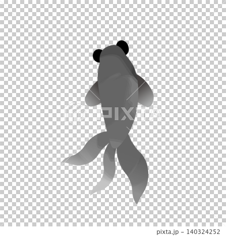 シンプルな水彩風の黒い出目金のイラスト01 シンプルな水彩風の黒い出目金のイラスト01 140324252