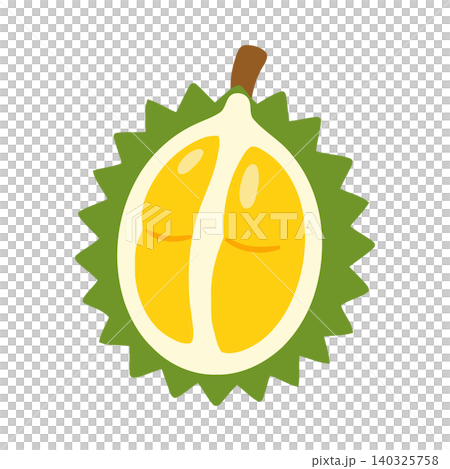 Durian fruit in flat vector style for food illustration and packaging Durian fruit in flat vector style for food illustration and packaging 140325758